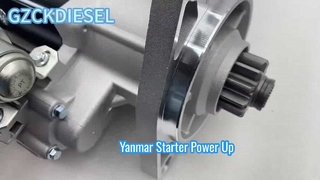 ইয়ানমার স্টার্টার মোটর 7KW 11T 24V 14866077080