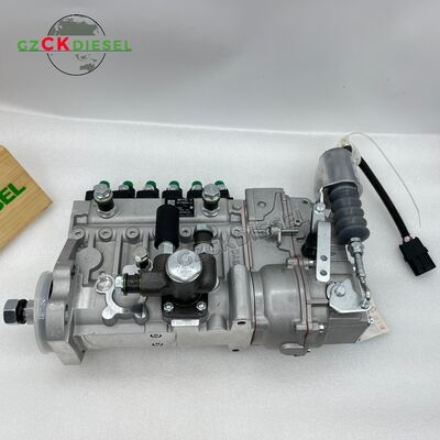 1006TG3 1006TG এক্সক্যাভারের জন্য জ্বালানী ইনজেকশন পাম্প T73208219